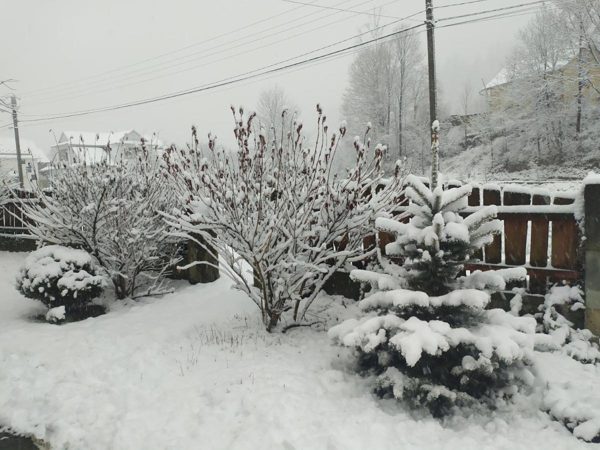 Котедж Кресаня Mykulytschyn Exterior foto