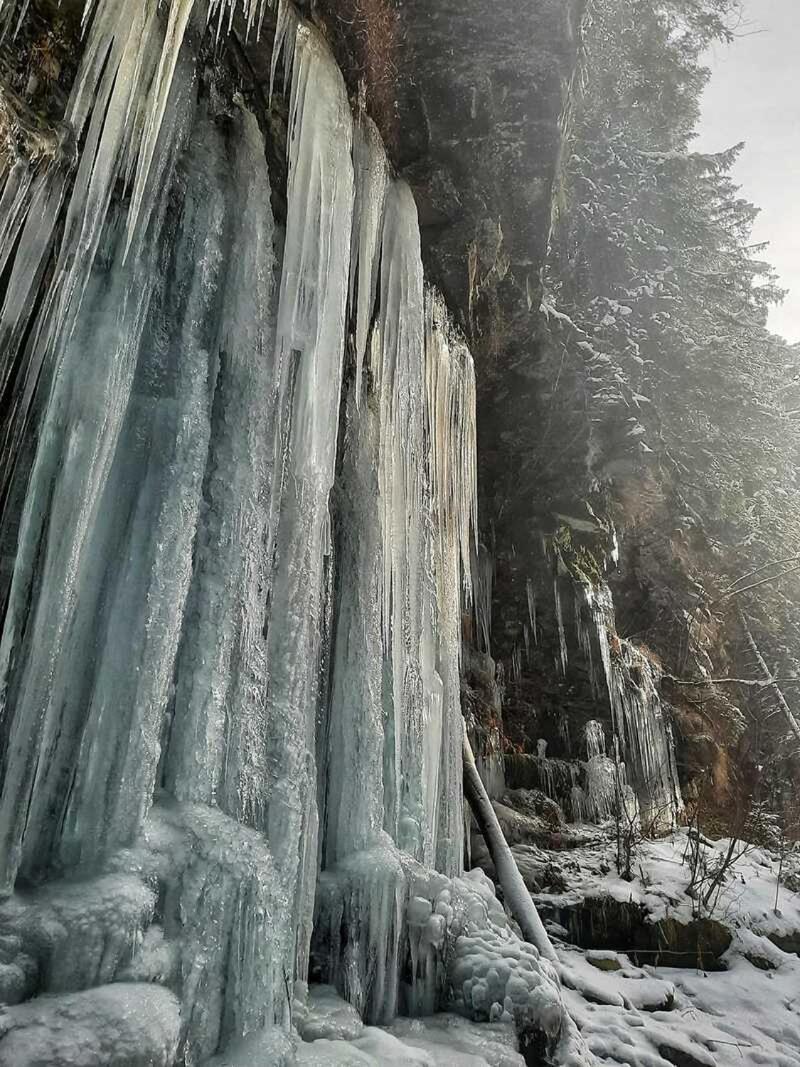 Котедж Кресаня Mykulytschyn Exterior foto