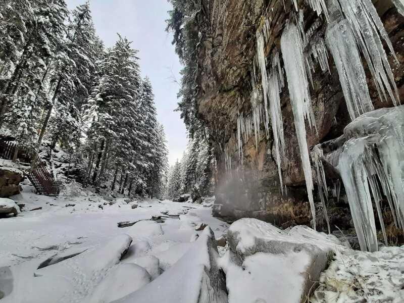 Котедж Кресаня Mykulytschyn Exterior foto